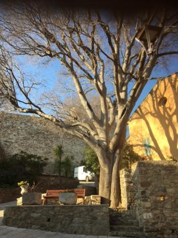 Logement Neuf Centre Du Village Aux Pieds Du Chateau Grimaud Exteriér fotografie